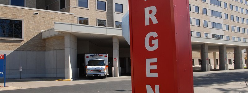 How powerful is the Disney brand? Alligators vs gorillas at law